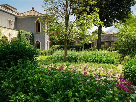 Alberi Da Frutta Quali Sono Quelli Adatti Per Il Giardino