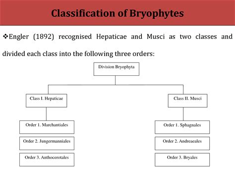 SOLUTION: Classification of bryophytes - Studypool