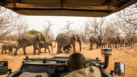 6 of the best places to visit in Botswana - Lonely Planet