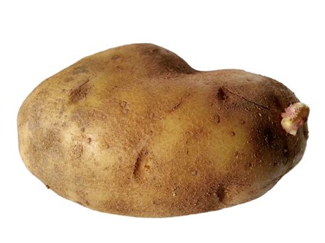 Potato Free Stock Photo - Public Domain Pictures