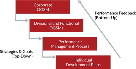 Detailed OGSM Strategy Framework Guide San Antonio TX