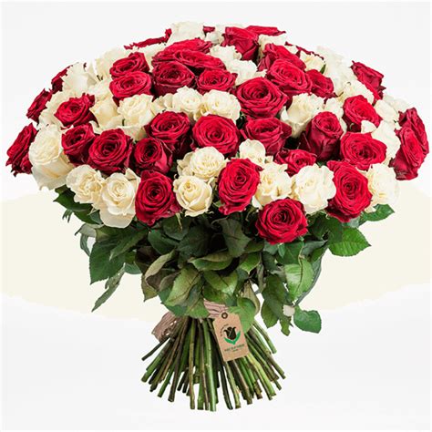 Buy Red And White Roses Online BTF In