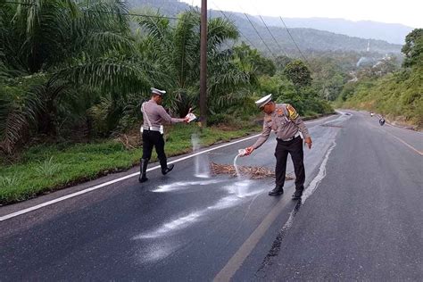 Polda Aceh Tindak Tegas Truk Tangki Sebabkan Tumpahkan Cpo Di Jalan