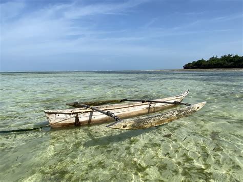 Tanzania Adventure | Odysseys Unlimited