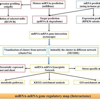 Flow Chart To Represent The Various Steps Used In This Analysis Mature