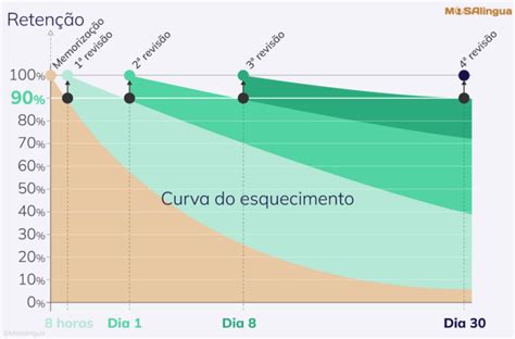 O Sistema De Repeti O Espa Ada Memorize E Nunca Mais Esque A