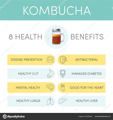 Health Benefits Kombucha Tea Vector Infographic Stock Vector Image By