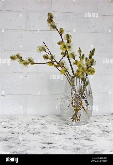 An Arrangement Of Pussy Willows In A Small Bucket On A Table Top Stock