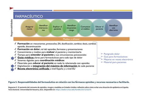 Recomendaciones de práctica clínica de la Sociedad Española