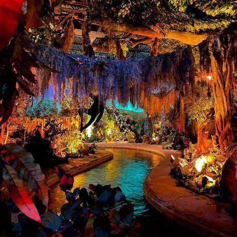 galveston island jungle cafe  ann luongo blog