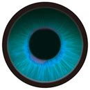 Elsa Babe 平野 凛 165cm高級シリコン製ラブドール良乳美しい特殊部隊のキャプテン