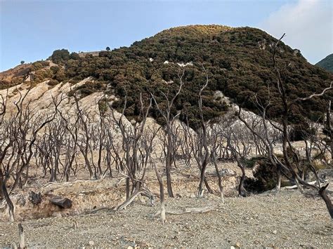 PAPANDAYAN TRIP (2025) All You Need to Know BEFORE You Go (with Photos ...