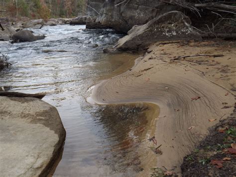 Pin By Mike Coon On Audra State Park State Parks Outdoor Park