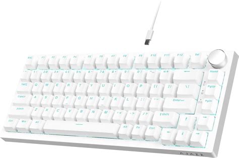 Ajazz Ak Tkl Wired Mechanical Keyboard Hot Swappable Blue Switch Gasket Mount Gaming