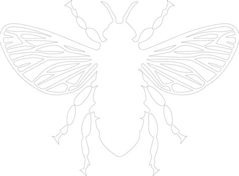 Premium Vector Cicada Outline With Transparent Background