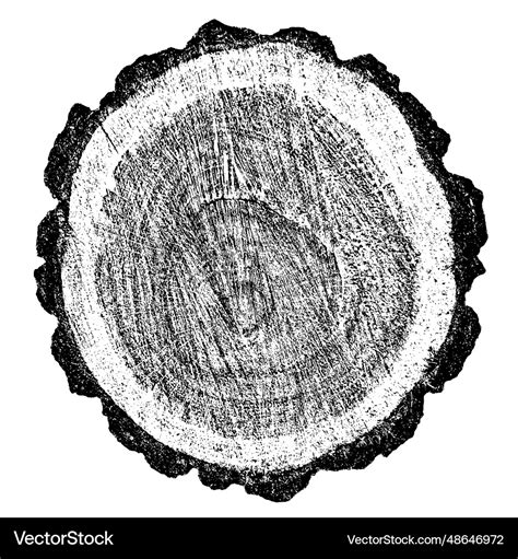Distressed Wood Texture Royalty Free Vector Image