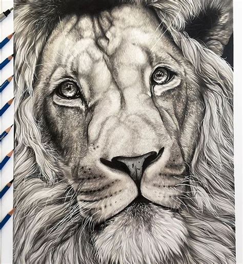 ART The Most Amazing Art On Instagram Insane Pencil Drawing By