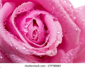 Vagina Odour Images Stock Photos D Objects Vectors Shutterstock