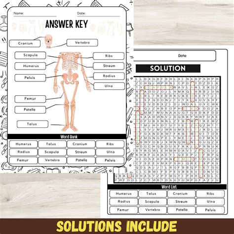 Skeletal System Worksheet Key