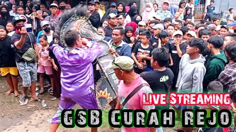 Live Jaranan Hari Ini Getar Semi Budoyo Curah Rejo Youtube