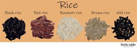 The Different Types Of Rice You Need To Know About