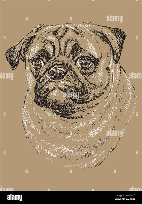 Vector de PUG de dibujo a mano alzada en blanco y negro ilustración