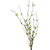 Amazon Dulrlly Pcs Artificial Pussy Willow Branches For Tall Vase In Fake Willow Stems