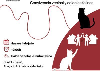 El Ayuntamiento De Elda Organiza Un Ciclo De Charlas Divulgativas Para