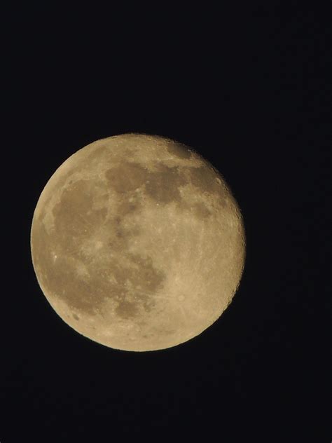 Gibbous Moon Night Full - Free photo on Pixabay - Pixabay