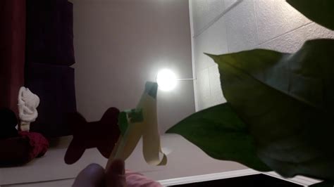 Пранки - YouTube