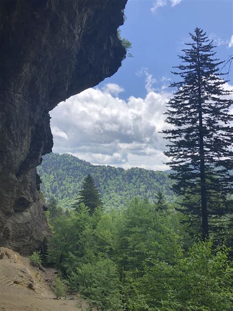 beautiful hike at alum cave trail today in the smokies (tennessee) : r