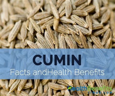 Cumin Facts Health Benefits And Nutritional Value