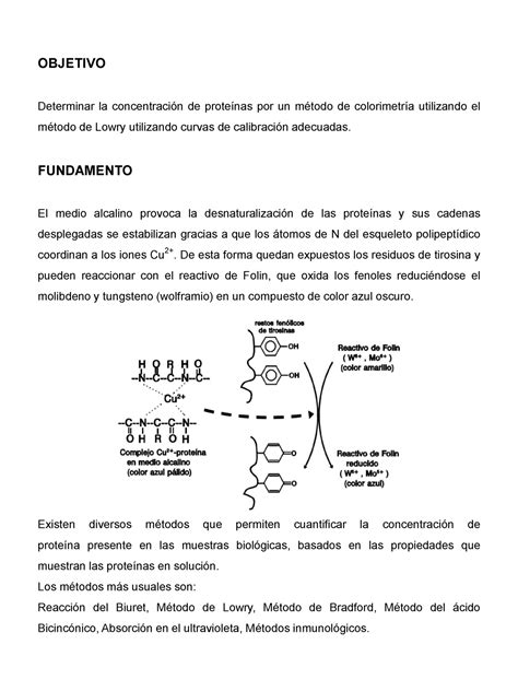 Determinaci N De La Concentraci N De Prote Nas Por Un M Todo