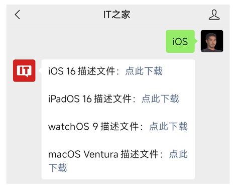 蘋果ios 161 開發者預覽版beta 發布 網絡設計教學