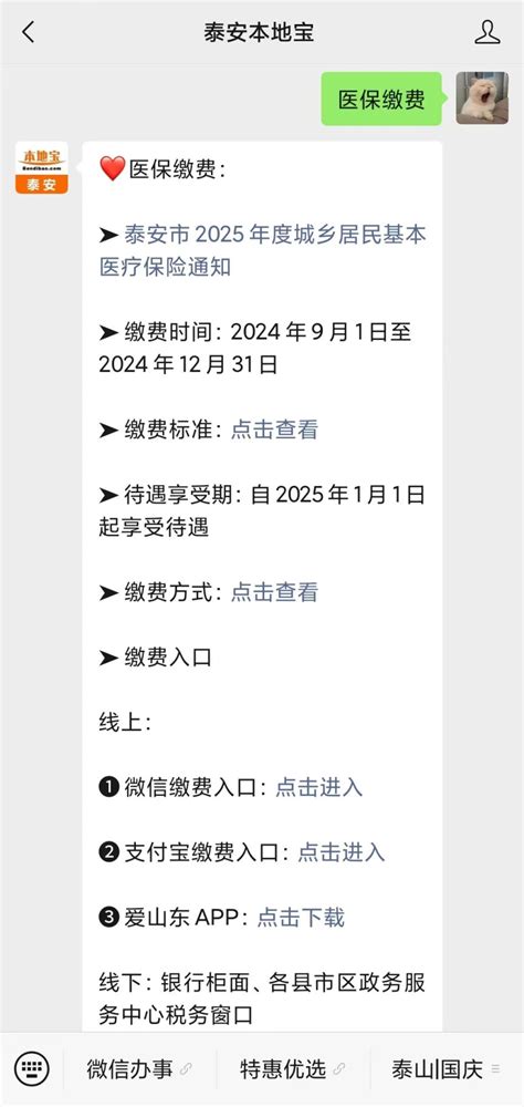 2025年度泰安居民医保缴费指南（缴费标准＋入口） 泰安本地宝