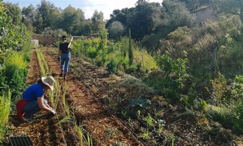 Qué Es La Agricultura Sintrópica