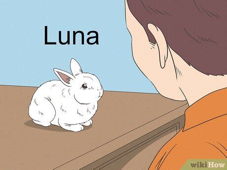 350+ Cute Bunny Names for Pet Rabbits