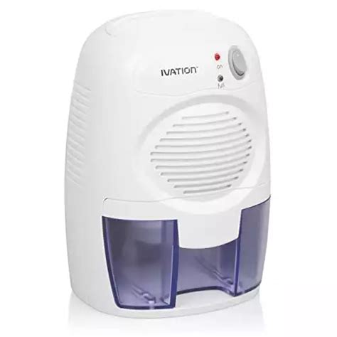 Best Dehumidifier For Attic Review 2025