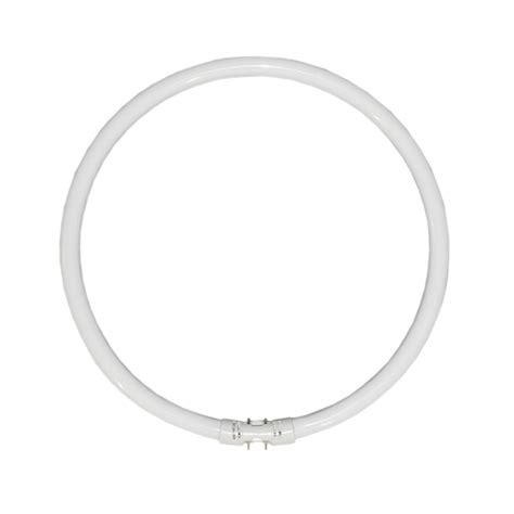 Master TL5 Circular Fluorescent T5 22W 3000K 830 2GX13 4 Pins | GMT ...