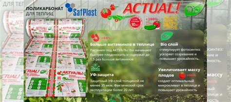 Поликарбонат сотовый actual bio 4мм прозрачный купить в Йошкар-Оле ...