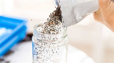 Water Seeds