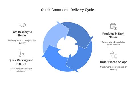 quick commerce  commerce meaning business model