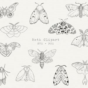 Moth SVG Moths Clipart Moth SVG Bundle Moth Line Drawing Cut File