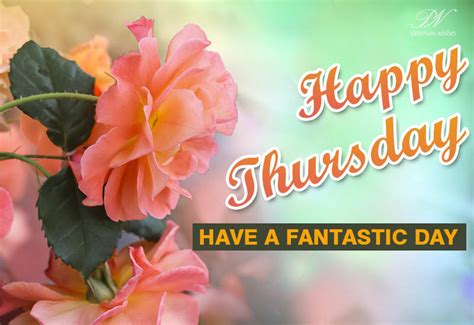 Happy Thursday Have A Fantastic Day Premium Wishes