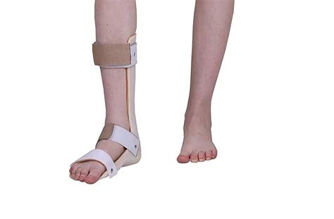 Daily So Leg Polypropylene Static Ankle Foot Orthosis Size M At Rs