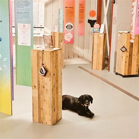 Vagina Museum Vagina Museum Masto Ai Mastodon