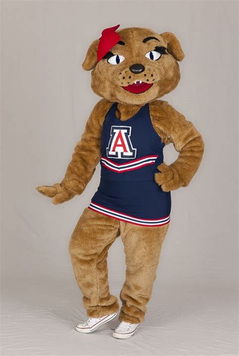 Untold Arizona Arizona University Mascots A Century In The Making Artofit
