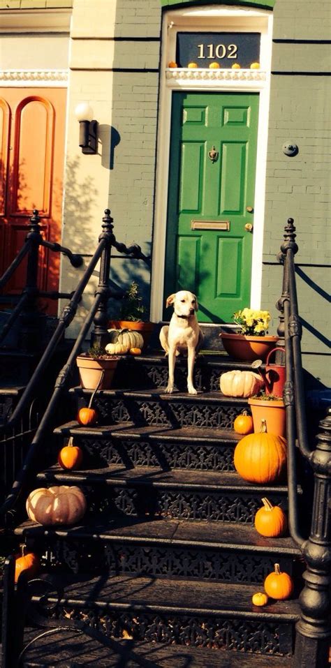 I Ate All The Treats Halloween Town Green Door Stairway To Heaven