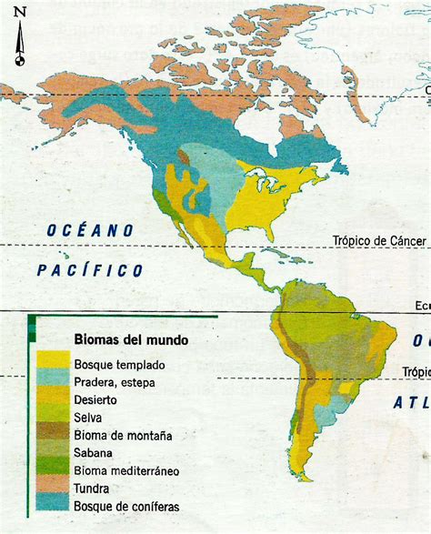 Ciencias Sociales 6 Biomas De AmÉrica