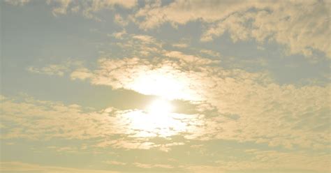 Daisy S Diary How Is Archie Babe